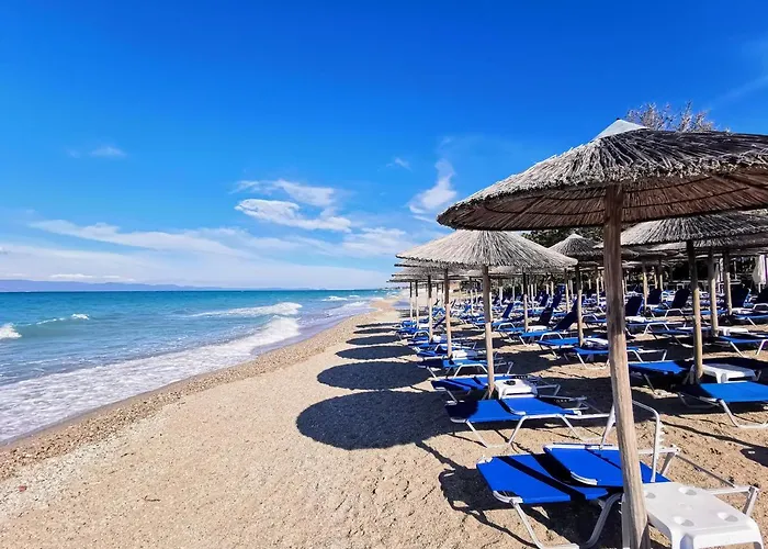 Purple_rose_apartment *